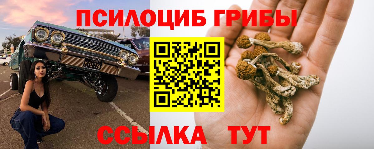 Галлюциногенные грибы ЛСД Богородск