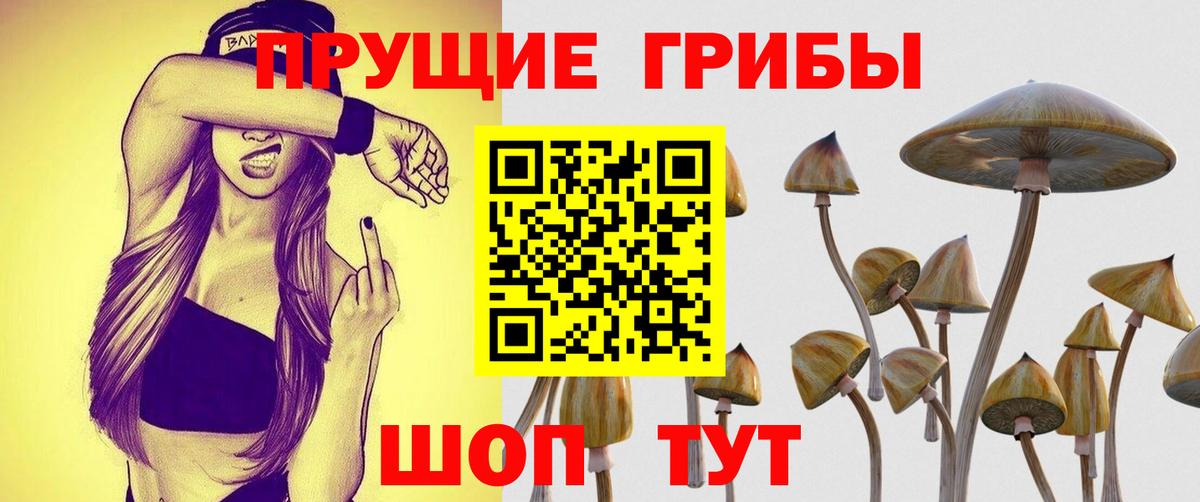 Богородск  Галлюциногенные грибы Cubensis  Вход с VPN  Галлюциногенные грибы Psilocybe 